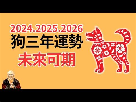 1982年屬狗 運勢|属狗1982年出生的人2024年全年运程运势